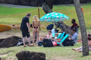 Nicola Peltz Sexy 2 thefappening.so.jpg