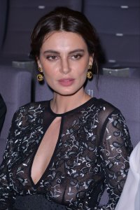 Catrinel Menghia See Through 14 thefappening.so.jpg