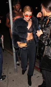 Sofia Richie See Through 3 thefappening.so.jpg