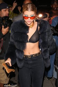 Sofia Richie See Through 4 thefappening.so.jpg