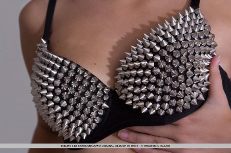 eveline-e-artists-inspiration-1-02 thefappeningblog.com.jpg