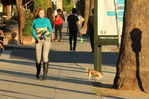 Erika Jordan Underboob 22 thefappening.so.jpg