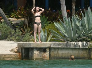 Dakota Johnson Sexy 97.JPG