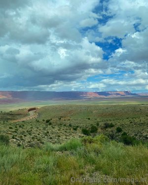 75a2568c-73e3-499f-8f71-ef1f6552290b (1).jpg