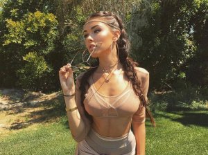Madison Beer See Through 6 thefappeningblog.com.jpg