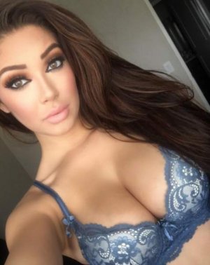 dt.common.streams.StreamServer (1).jpeg