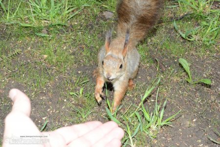 601-03 thefappeningblog.com.jpg