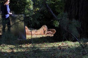 Francesca Cipriani Naked 16.jpg