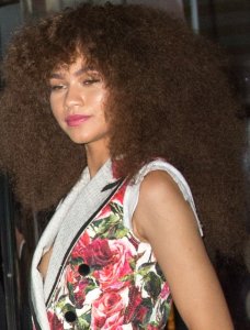 Zendaya Nip Slip 1 thefappeningblog.com.jpg