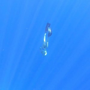 sarahconnor_20210316_3 (1).jpg