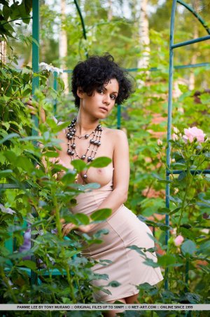 metart-pammie-lee-annysia-01 thefappeningblog.com.jpg