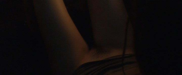 The Survivalist.mp4_snapshot_01.13.48.887.jpg