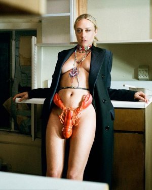 chloe-sevigny-WTF_14.jpg