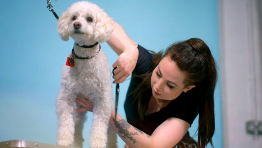 Screenshot_20230304_031935_Video Player.jpg