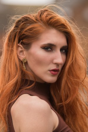 Morticia Avery.jpg Morticia Avery.jpg