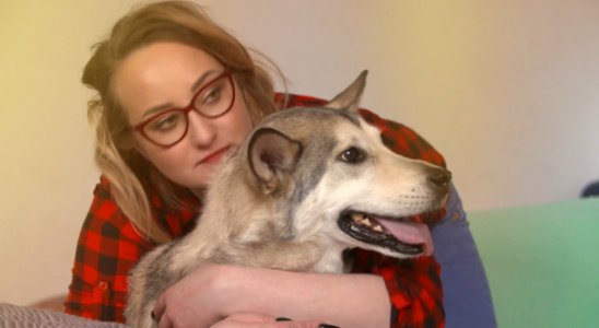 Screenshot_20230402_112950_Video Player.jpg