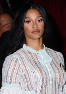 Joseline Hernandez See Through 3 thefappeningblog.com.jpg