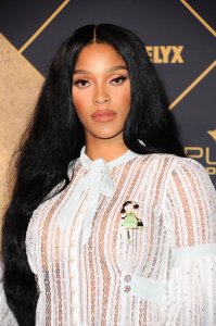 Joseline Hernandez See Through 6 thefappeningblog.com.JPG