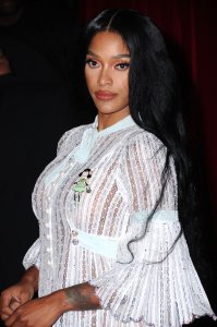 Joseline Hernandez See Through 2 thefappeningblog.com.jpg