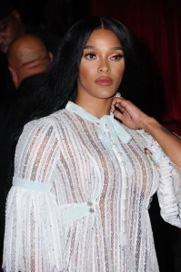 Joseline Hernandez See Through 4 thefappeningblog.com.jpg