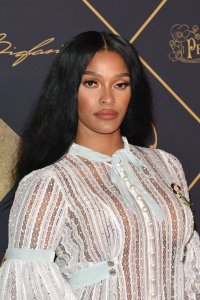 Joseline Hernandez See Through 7 thefappeningblog.com.jpg