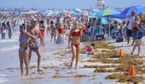 Valeria Orsini Sexy 31 thefappeningblog.com.jpg