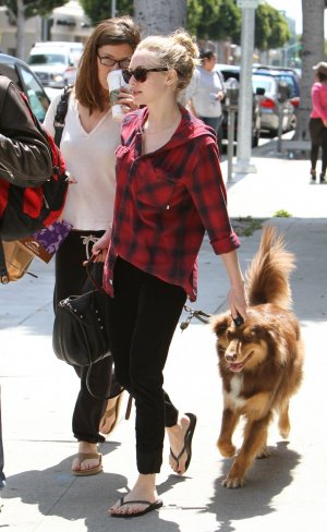 336166892_amanda_seyfried_shopping_beverly_hills_12_04_2012_8_122_346lo.jpg