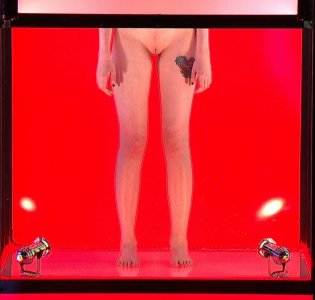 Screenshot_20230809_034732_Samsung Internet.jpg