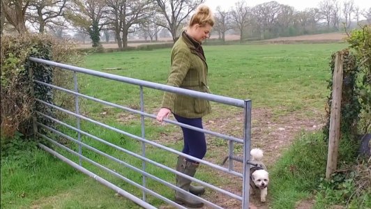 Screenshot_20230818_160047_Samsung Internet.jpg