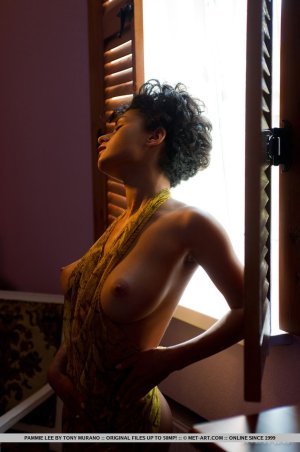 metart-pammie-lee-finitura-01 thefappeningblog.com.jpg