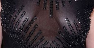 Alice Ripley See Through 5 thefappeningblog.com.jpg