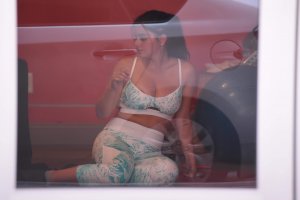 Ariel Winter Sexy 23 thefappeningblog.com.jpg