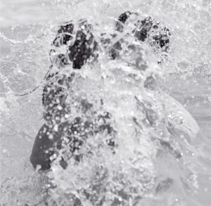 Edita Vilkeviciute Nude Sexy 4 thefappeningblog.com.jpg Edita Vilkeviciute Nude Sexy 4 thefappeningblog.com.jpg