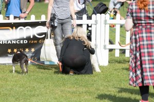 Meg Mathews See Through 4 thefappeningblog.com.jpg