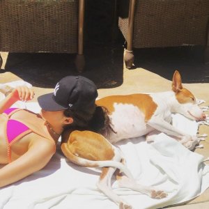 740full-ava-allan (4).jpg