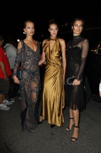 Daphne Groeneveld See Through 3 thefappeningblog.com.jpg