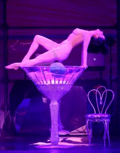 Dita Von Teese Sexy & Topless 16 thefappeningblog.com.jpg