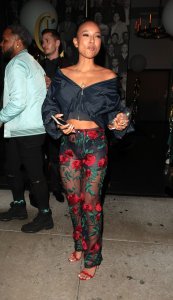 Karrueche Tran See Through 110 thefappeningblog.com.jpg