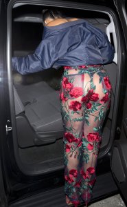 Karrueche Tran See Through 151 thefappeningblog.com.jpg