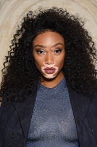 Winnie Harlow See Through 4 thefappeningblog.com.jpg