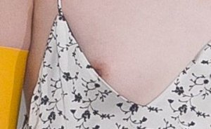 Hyun Ji Shin Nip Slip 4.jpg