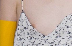 Hyun Ji Shin Nip Slip 3.jpg