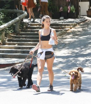 Danielle-Campbell -Hiking-with-Dogs--08.jpg