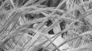 Liliana Camba Nude Sexy scr 17 thefappeningblog.com.jpg