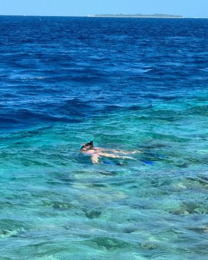 IMG_4129.jpeg IMG_4129.jpeg