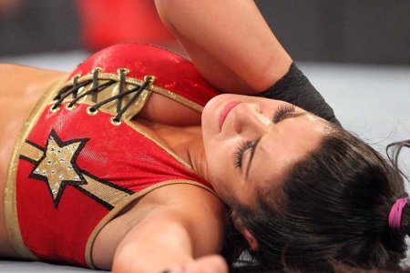 IMG_1241.jpeg IMG_1241.jpeg