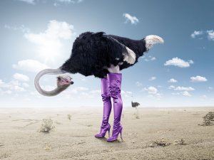 ostrich-boots.jpg