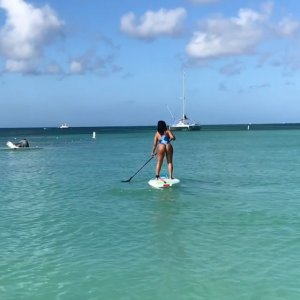 Ayisha Diaz Sexy 11 thefappeningblog.com.jpg