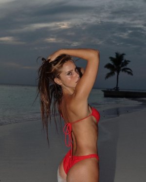 740full-neta-alchamister (2).jpg