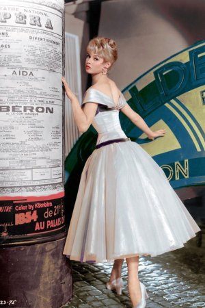 Brigitte Bardot -ce32925d2422bf8765443e38c18e76a2_085d9ebf_640.jpg